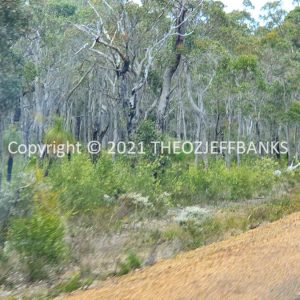 ROzCh79-125 | Travelling Around Australia with Jeff Banks