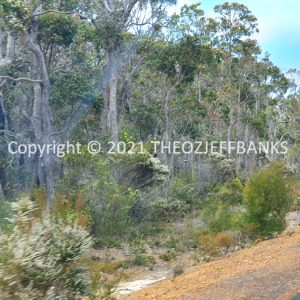 ROzCh79-126 | Travelling Around Australia with Jeff Banks