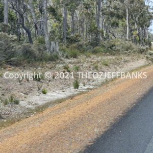 ROzCh79-127 | Travelling Around Australia with Jeff Banks