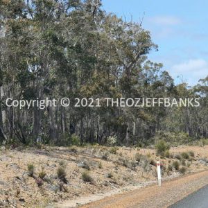 ROzCh79-128 | Travelling Around Australia with Jeff Banks