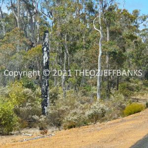 ROzCh79-129 | Travelling Around Australia with Jeff Banks