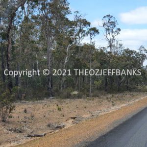ROzCh79-133 | Travelling Around Australia with Jeff Banks