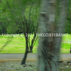 ROzCh79-139 | Travelling Around Australia with Jeff Banks