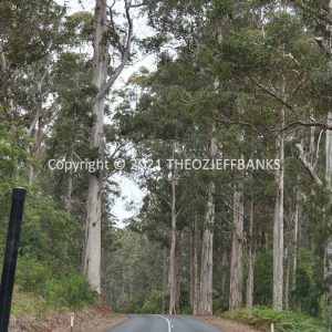 ROzCh79-140 | Travelling Around Australia with Jeff Banks