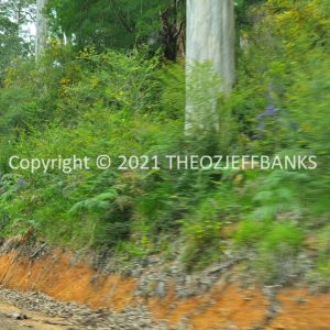 ROzCh79-146 | Travelling Around Australia with Jeff Banks