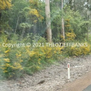 ROzCh79-149 | Travelling Around Australia with Jeff Banks
