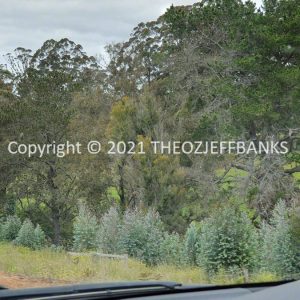 ROzCh79-153 | Travelling Around Australia with Jeff Banks