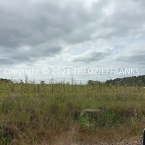 ROzCh79-185 | Travelling Around Australia with Jeff Banks