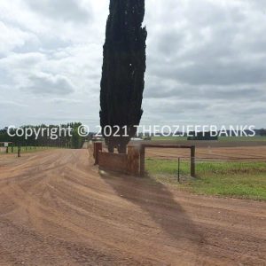 ROzCh79-195 | Travelling Around Australia with Jeff Banks