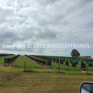 ROzCh79-198 | Travelling Around Australia with Jeff Banks