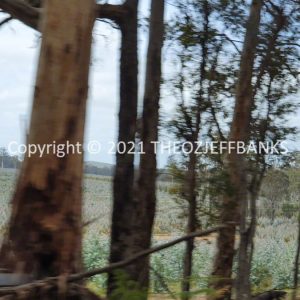 ROzCh79-202 | Travelling Around Australia with Jeff Banks