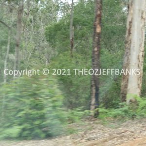 ROzCh79-207 | Travelling Around Australia with Jeff Banks