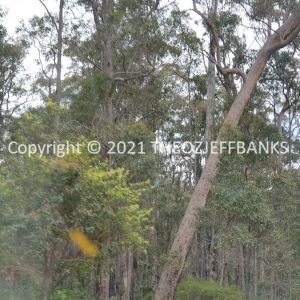 ROzCh79-212 | Travelling Around Australia with Jeff Banks
