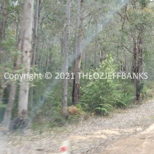 ROzCh79-213 | Travelling Around Australia with Jeff Banks