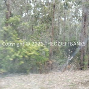 ROzCh79-214 | Travelling Around Australia with Jeff Banks