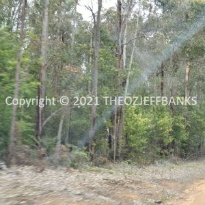 ROzCh79-215 | Travelling Around Australia with Jeff Banks