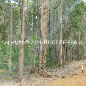 ROzCh79-217 | Travelling Around Australia with Jeff Banks