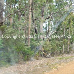 ROzCh79-218 | Travelling Around Australia with Jeff Banks