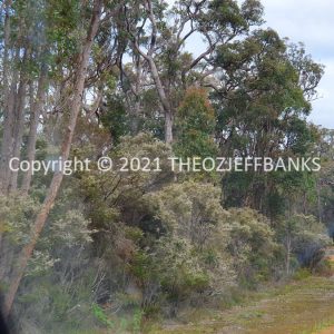 ROzCh79-219 | Travelling Around Australia with Jeff Banks