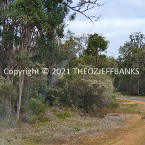 ROzCh79-220 | Travelling Around Australia with Jeff Banks