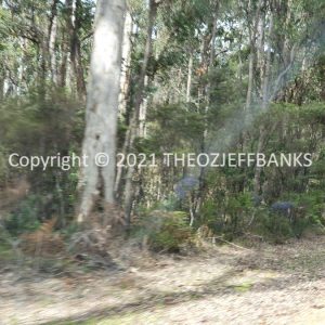 ROzCh79-222 | Travelling Around Australia with Jeff Banks