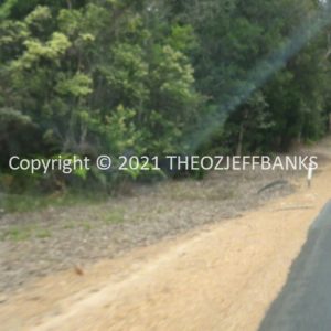 ROzCh79-223 | Travelling Around Australia with Jeff Banks