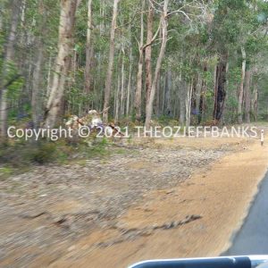 ROzCh79-224 | Travelling Around Australia with Jeff Banks