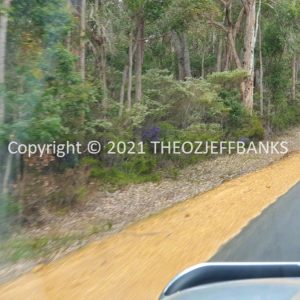 ROzCh79-225 | Travelling Around Australia with Jeff Banks