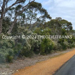 ROzCh79-226 | Travelling Around Australia with Jeff Banks