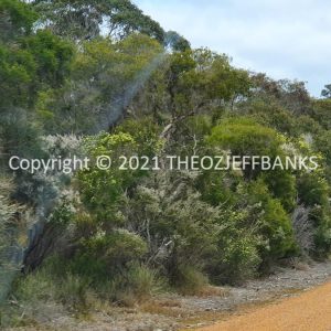 ROzCh79-227 | Travelling Around Australia with Jeff Banks