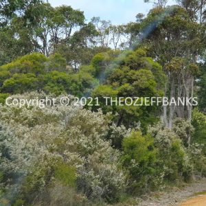 ROzCh79-228 | Travelling Around Australia with Jeff Banks