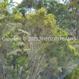 ROzCh79-229 | Travelling Around Australia with Jeff Banks