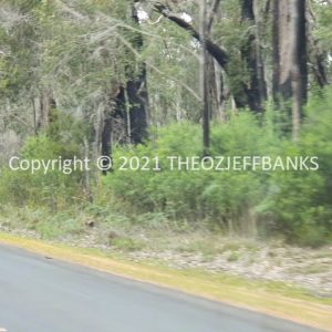ROzCh79-230 | Travelling Around Australia with Jeff Banks