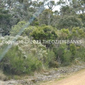 ROzCh79-231 | Travelling Around Australia with Jeff Banks