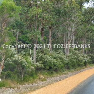 ROzCh79-232 | Travelling Around Australia with Jeff Banks