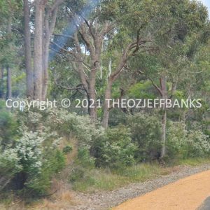 ROzCh79-233 | Travelling Around Australia with Jeff Banks