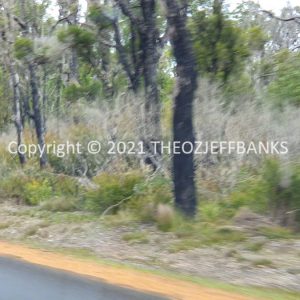 ROzCh79-234 | Travelling Around Australia with Jeff Banks