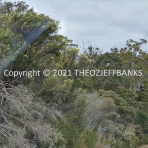ROzCh79-235 | Travelling Around Australia with Jeff Banks