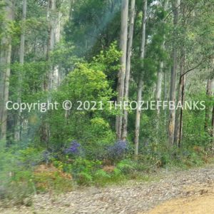 ROzCh79-238 | Travelling Around Australia with Jeff Banks