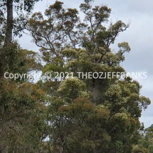 ROzCh79-240 | Travelling Around Australia with Jeff Banks