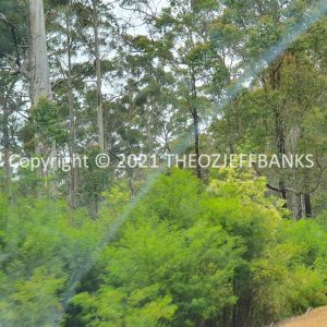 ROzCh79-244 | Travelling Around Australia with Jeff Banks