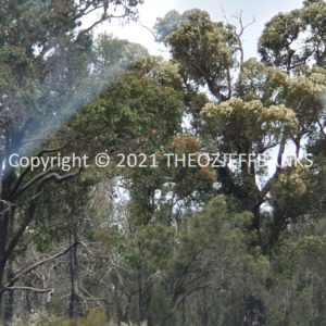 ROzCh79-249 | Travelling Around Australia with Jeff Banks