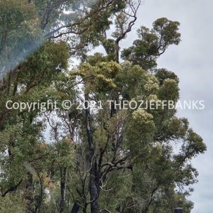 ROzCh79-252 | Travelling Around Australia with Jeff Banks
