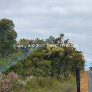 ROzCh79-253 | Travelling Around Australia with Jeff Banks