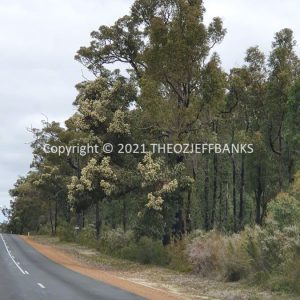 ROzCh79-254 | Travelling Around Australia with Jeff Banks