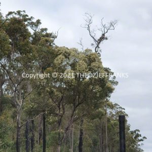 ROzCh79-256 | Travelling Around Australia with Jeff Banks
