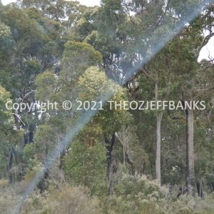 ROzCh79-258 | Travelling Around Australia with Jeff Banks