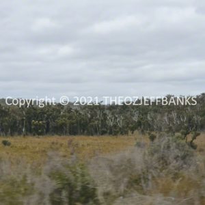 ROzCh79-268 | Travelling Around Australia with Jeff Banks