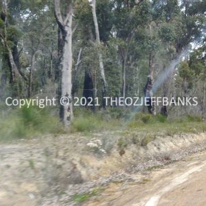 ROzCh79-269 | Travelling Around Australia with Jeff Banks