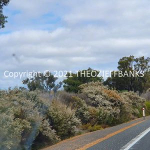 ROzCh79-270 | Travelling Around Australia with Jeff Banks